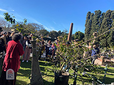 Cementerio Británico Montevideo