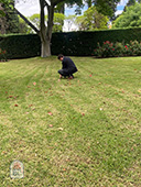 Remembrance day 2024 Cementerio Británico Montevideo